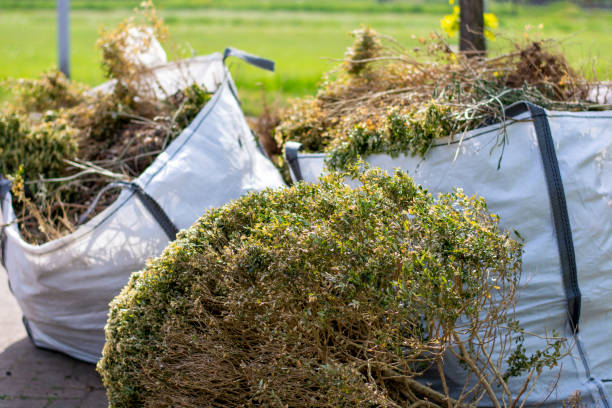 Best Dumpster Rental Services  in Highlands Ranch, CO